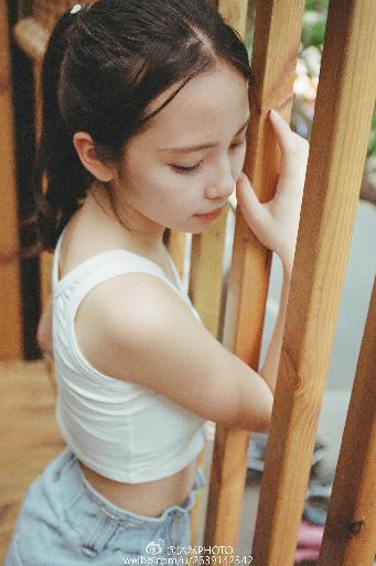 灭火宝贝2:决战丛林